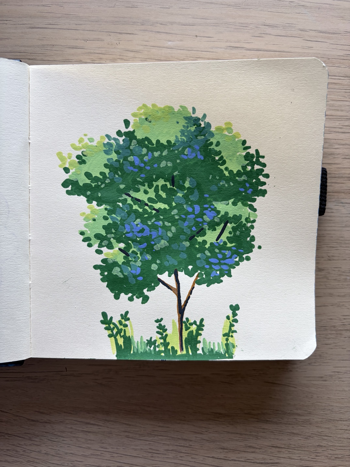 Un albero nel verde