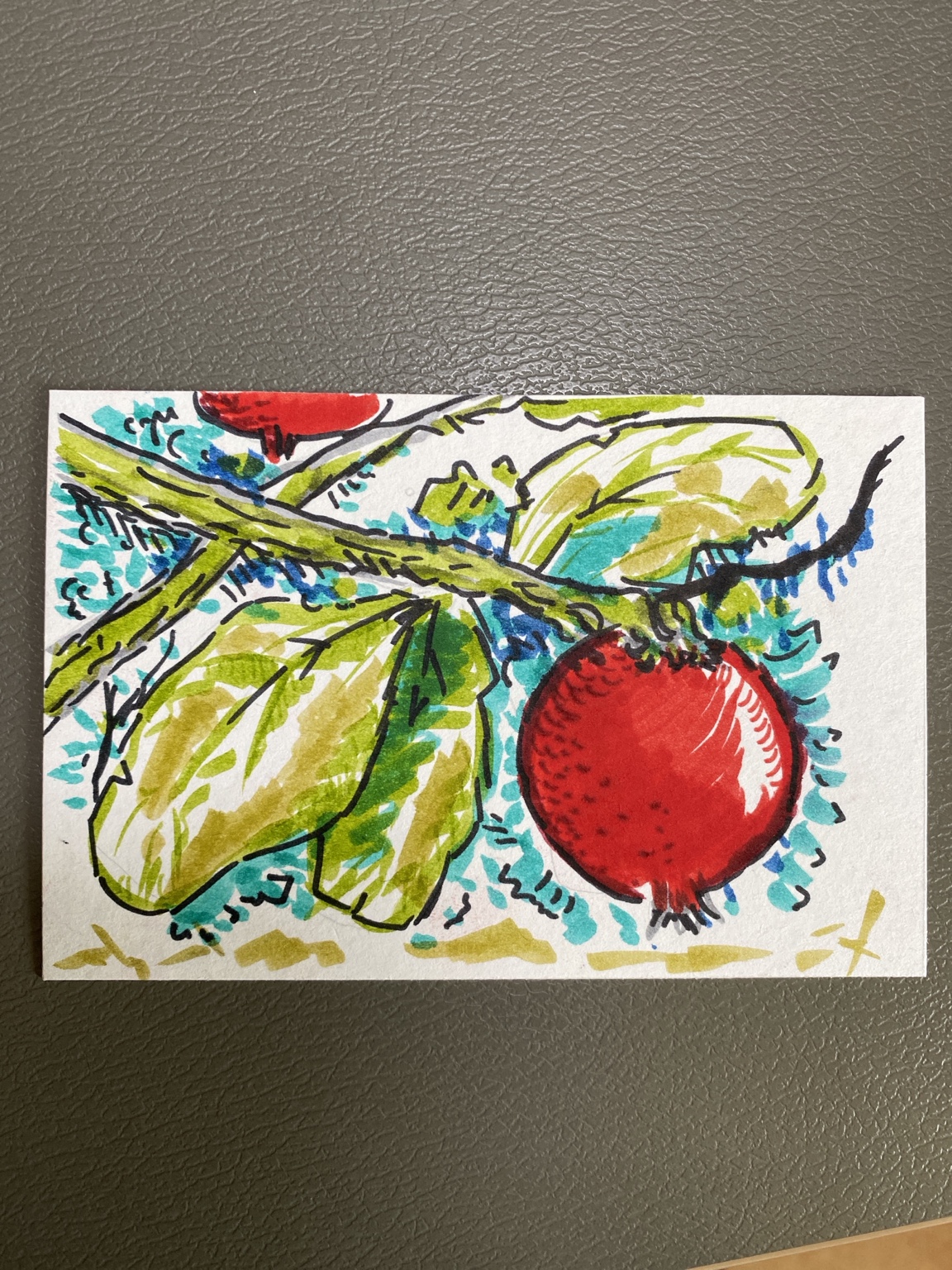 Foglie e frutti