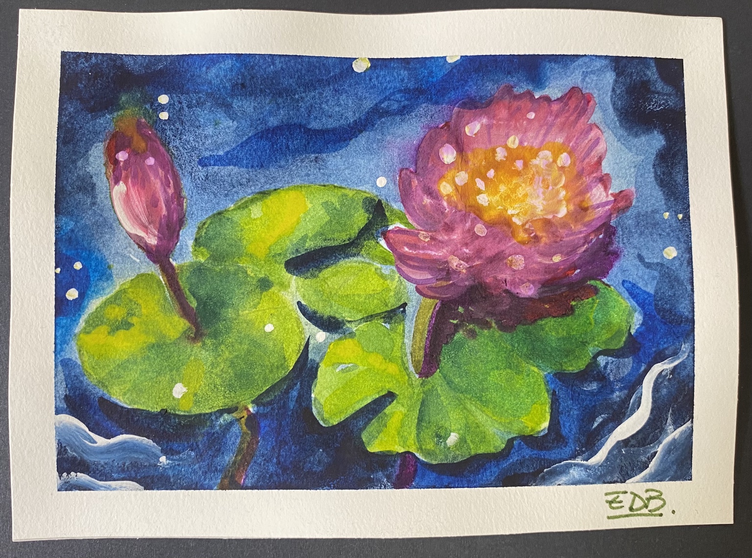 Ninfea rosa