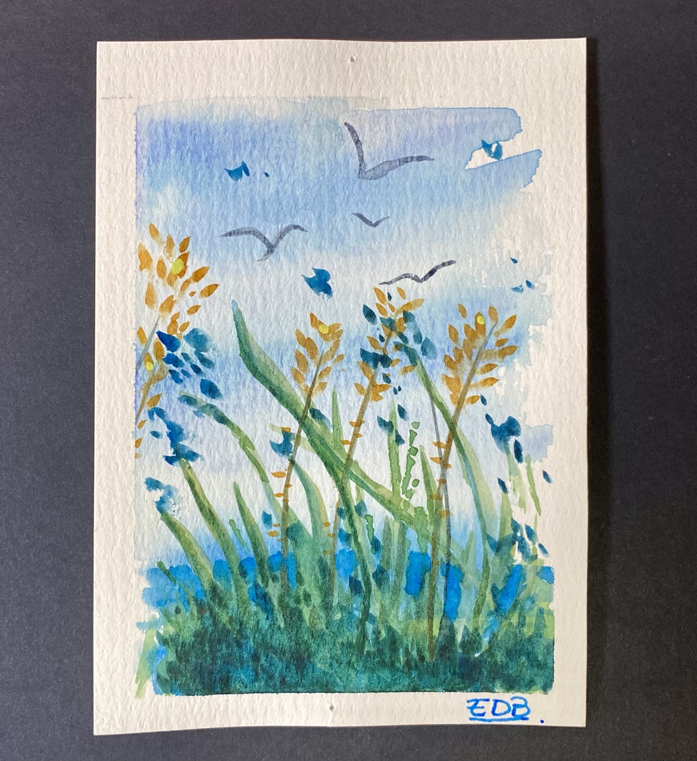 Fiori e cielo