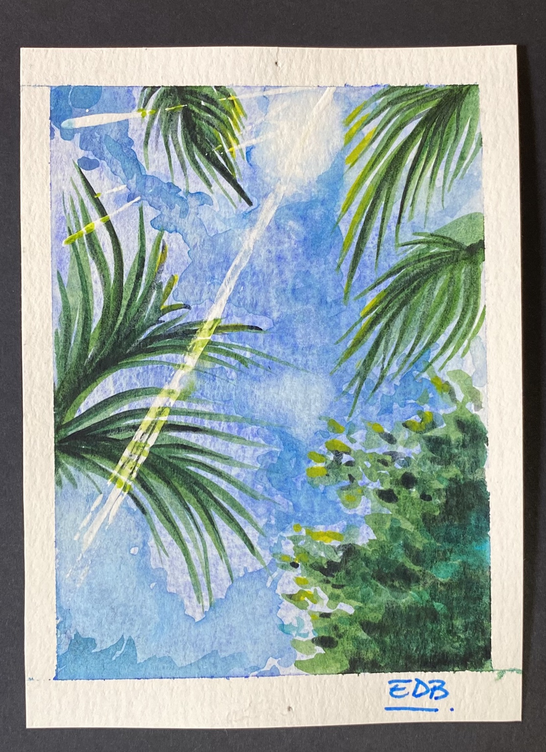 Il cielo tra le palme