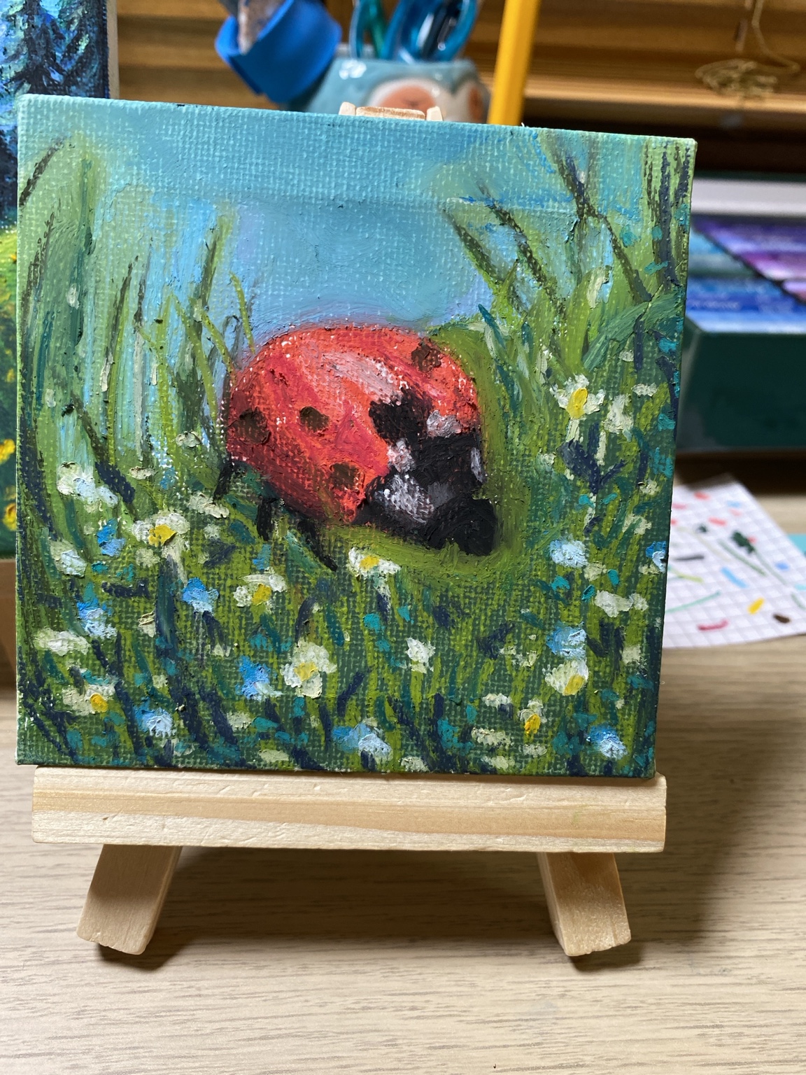Coccinella nel prato