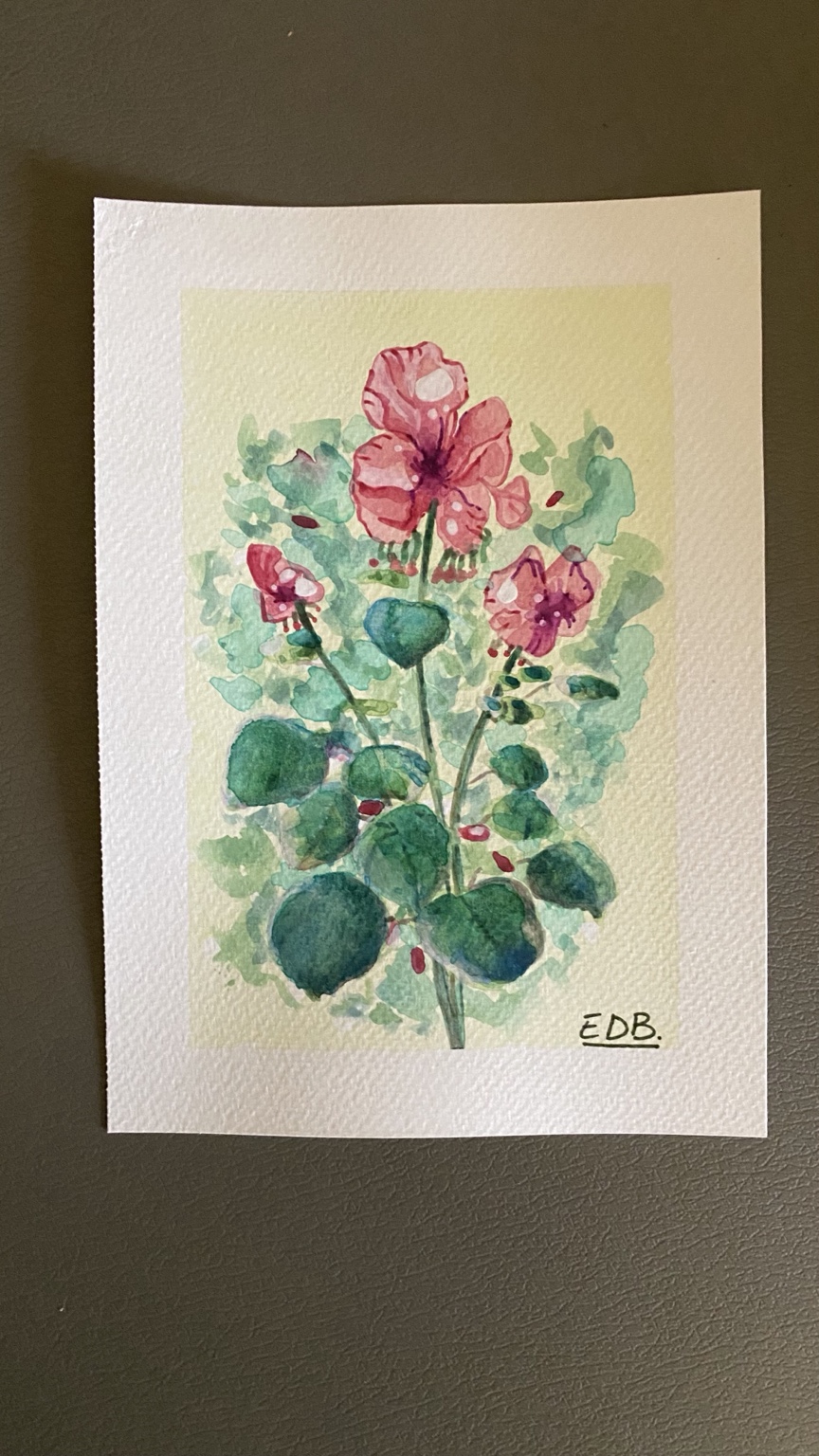 Rose su carta
