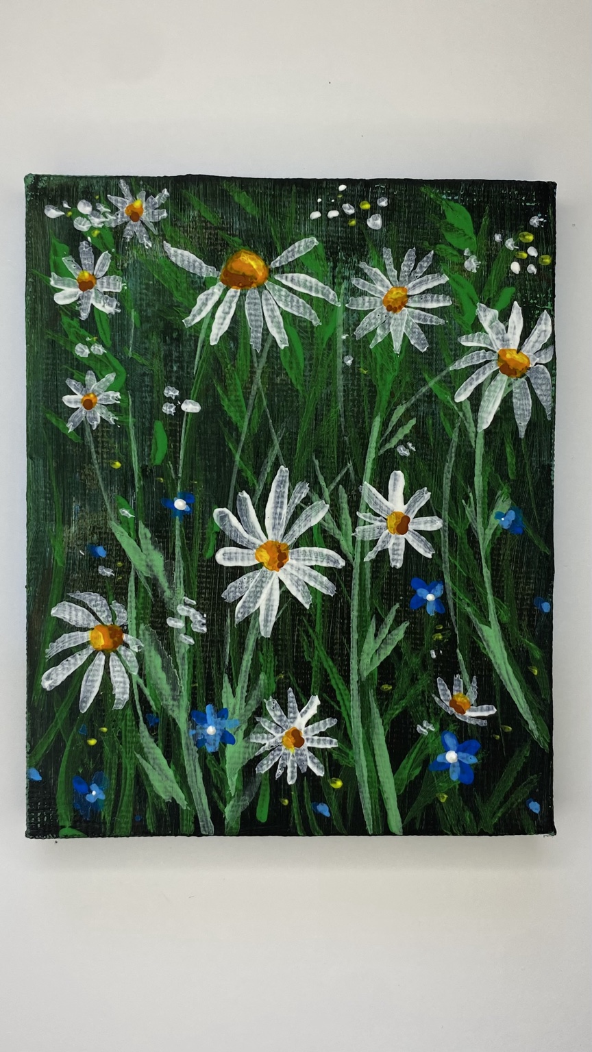 Margherite nel verde